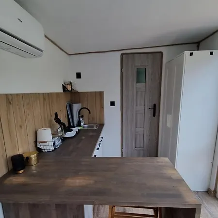 Lesna Przystan Apartment *